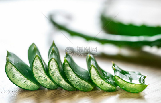 AloeVera的新鲜叶子图片