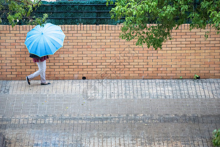 打着雨伞的女子在街道上行走图片