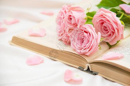 玫瑰和旧书粉色图像图片