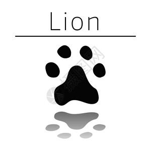 伊芦狮子动物足迹名称和白色背景的反射插画