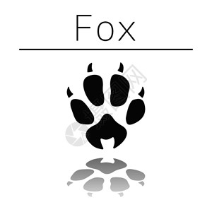 冷脚带有名字和白色背景反射的狐狸动物足迹插画