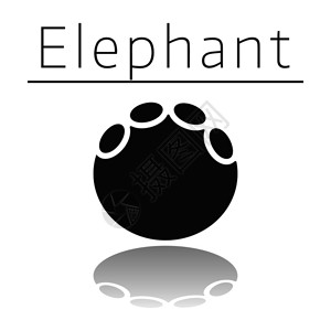 伊芦大象动物足迹名称和白色背景的反射插画