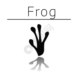 伊芦青蛙动物足迹名称和白色背景的反射插画