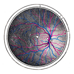 右眼的视网膜陈年往事的刻图图片