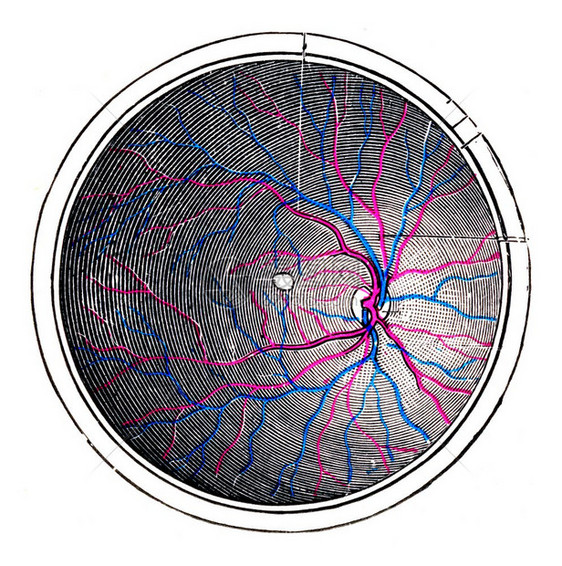 右眼的视网膜陈年往事的刻图图片