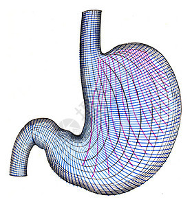 胃部古老的雕刻插图图片