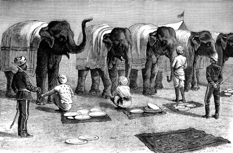 印度的大象古代刻画插图旅行杂志18790年图片