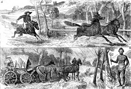 Fig4野马的比赛Fig5教练用冰水停车图6本地字母的携带者古老刻画图旅行日记18790年旅行日记JournaldesVoyag图片