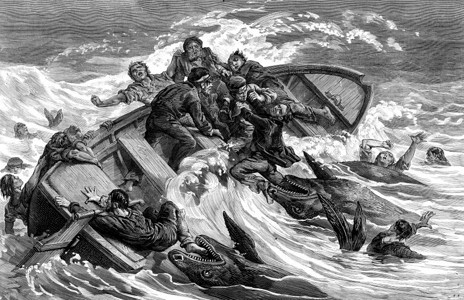 船员被鲨鱼吞食旅行日报18790年旅行日报18790年图片