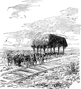 MdeLessepsSavanilla和Barranquilla哥伦比亚之间铁路第一站古代刻画图旅行杂志18790年图片