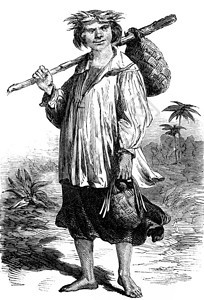 Tahiti人的类型刻有古老的插图旅行日报180年图片
