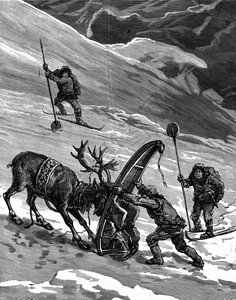 Lapps驯鹿运动有时是曲折的刻有古老文字的插图旅行日报180年图片