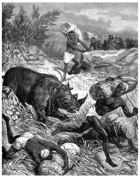 在坦噶尼喀湖巴黎犀牛在承运商中间大吵闹刻有古老的插图航海杂志旅行180年图片