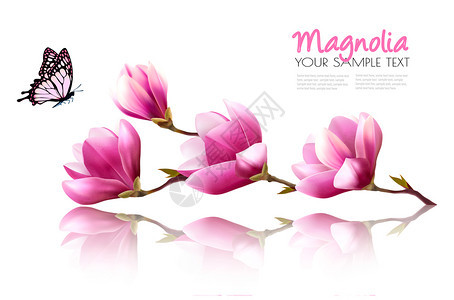 粉红色木兰花和蝴蝶矢量元素图片