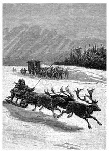这些雪橇由三头驯鹿绘制刻有古代文字的插图JulesVerneCesarCascabel1890年图片