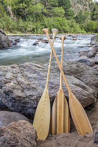 山河沿岸的三条木制独舟桨科罗拉多北部林斯堡附近的CachelaPoudreRIver图片