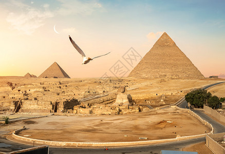 埃及吉萨和伟大的斯芬克金字塔吉扎和伟大的斯芬克金字塔埃及图片