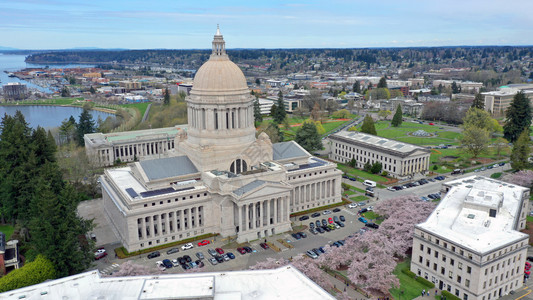 华盛顿州奥林匹亚首都大楼春樱桃花朵空中透视图片