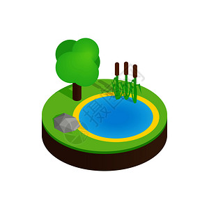 松雅湖生态城夏季森林中的pond3d图标白色背景图标插画