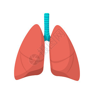 白色背景的人类肺动画图标人类肺动画图标图片