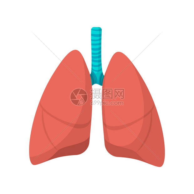 白色背景的人类肺动画图标人类肺动画图标图片