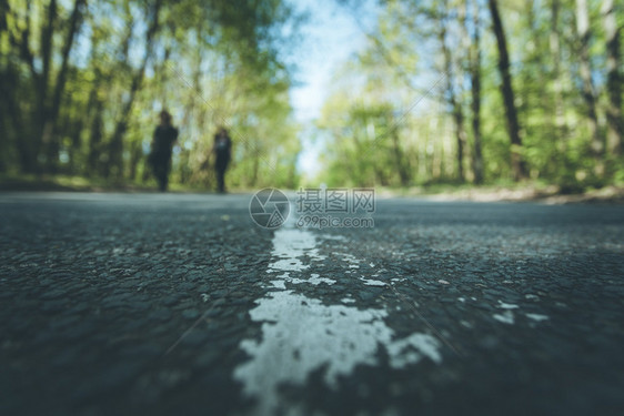 森林中的石灰街道近距离模糊背景图片