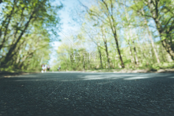 森林中的石灰街道近距离模糊背景图片