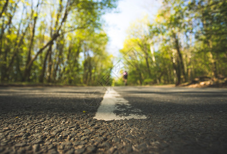 森林中的石灰街道近距离模糊背景图片素材