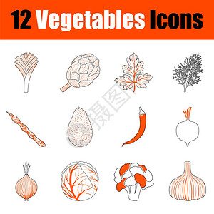 在蔬菜主题上设置12个图标有橙色设计的薄线完全可编辑的矢量说明文本扩展图片