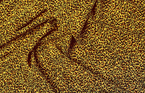 豹印结构图案背景纹理野生动物模式图片