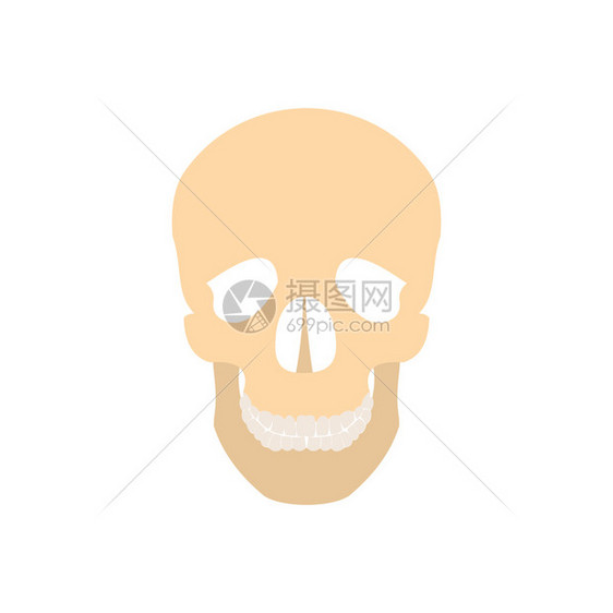 白色背景上孤立的平板型人类头骨图标人类头骨图标图片