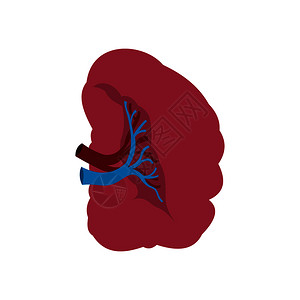 血红插画_血红卡通_血红插图_手绘_板绘_摄图网