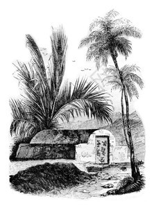 马鲁古群岛安邦的1842年马加辛皮托雷克古老的雕刻插图图片