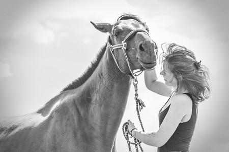 照顾动物爱和友谊的概念赛马女青年在阳光明媚的一天接吻和拥抱黑马白照片赛马女青年接吻和拥抱棕马图片