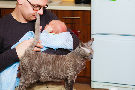 爸抱着他的小新生婴儿在毛毯里猫到处走来去图片