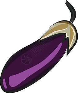 深紫色茄子向量彩色绘画或插图图片