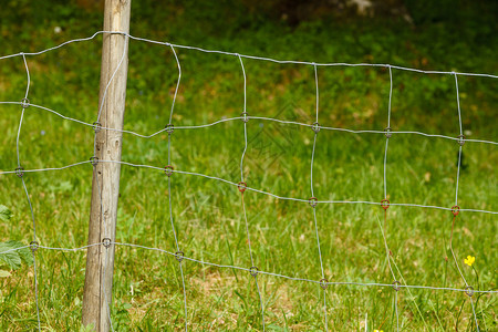 财产安全概念关闭由线背景绿草组成的金属围栏关闭由线组成的金属围栏图片