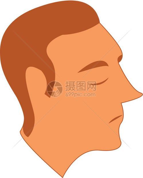 一个有棕色头发矢量颜绘画或插图的遗憾男子图片