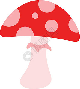 红色发现蘑菇病媒彩色绘画或插图图片