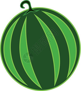 圆绿色条形西瓜矢量彩色绘图或插图片