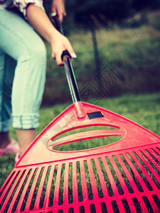 成年女在后院用雷克工具在草坪上放牧从宽角度看妇女利用雷克清理花园草坪图片