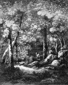 1846年的MagasinPittoresque图片
