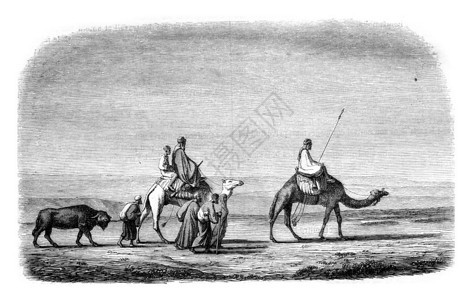 1846年的马加辛皮托雷克MagasinPittoresque图片