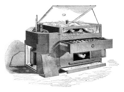 巴黎自然历史博物馆鼓盖库里斯门古典雕刻的插图1852年的MagasinPittoresque背景图片