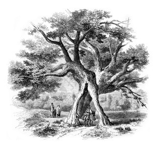 1852年的MagasinPittoresque图片