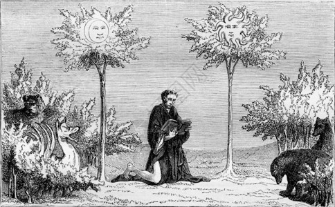 太阳之树和月亮奇迹书的微型古老插图185年的玛加辛皮托罗克图片