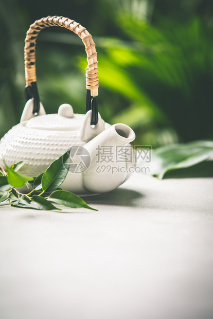 热带叶上茶成分热带上茶成分热带上茶成分关闭图片