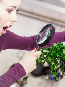 购买健康的饮食品概念厨房里的女人有很多绿色蔬菜她们通过放大镜看购物篮小车女人通过放大镜看蔬菜篮图片