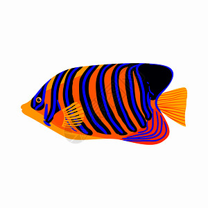 背景上孤立的卡通风格中斑马鱼图标海和洋符号斑马鱼图标卡通风格插画