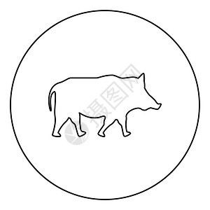 圆形的野猪圆形图示黑色矢量说明平板风格简单图像图片